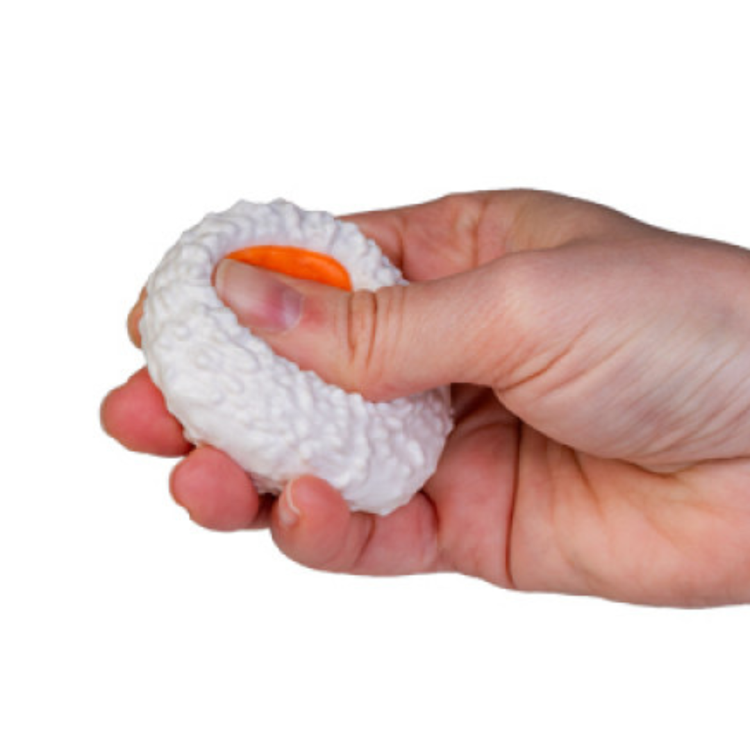 Fidget Sushi Platter Sensory Kit