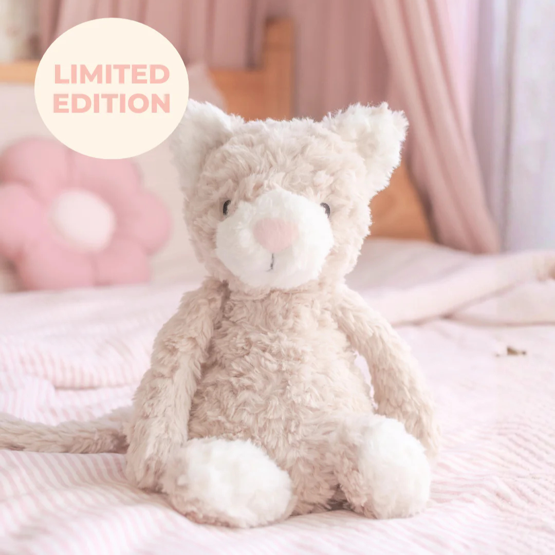 Pickles The Weighted Sensory Cat