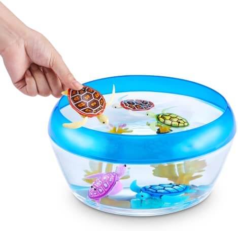 Robotic Swimming Turtle - Water Activated