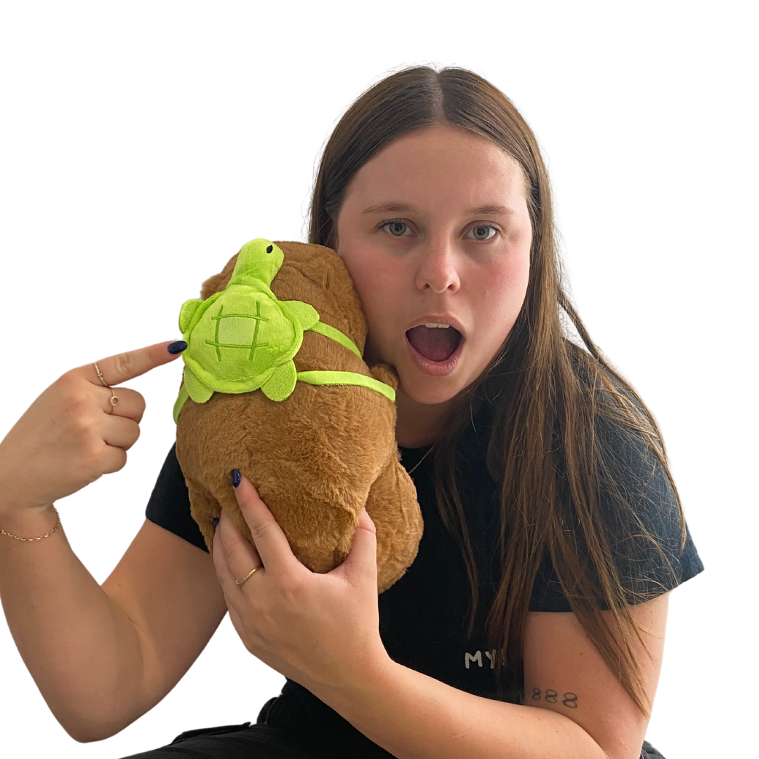 Capybara Soft Plush With Turtle Back Pack
