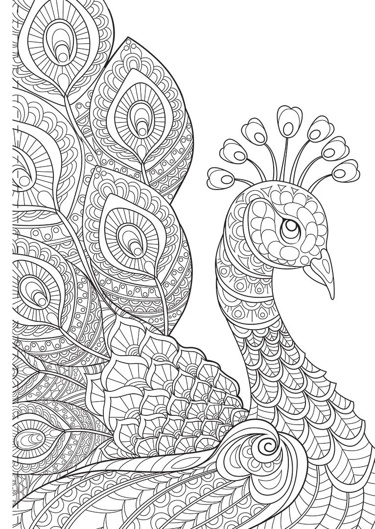 Adult Colouring Book – Amazing Animals