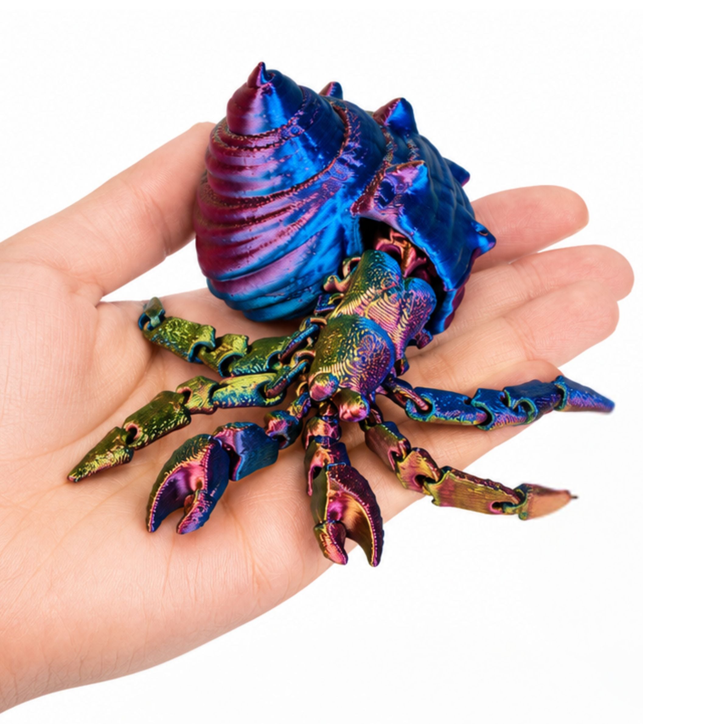 3D Sensory Fidget Hermit Crab