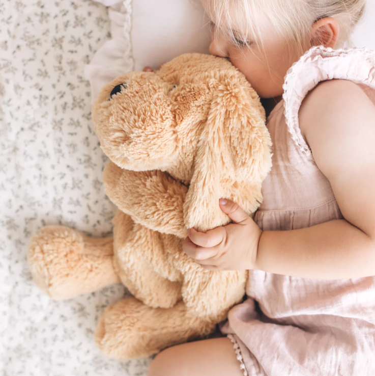 Charlie The Weighted Sensory Puppy Dog