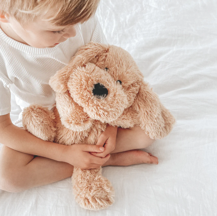 Charlie The Weighted Sensory Puppy Dog