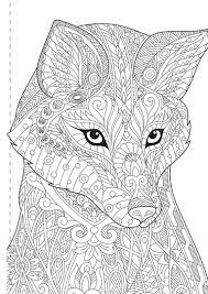 Adult Colouring Book – Amazing Animals
